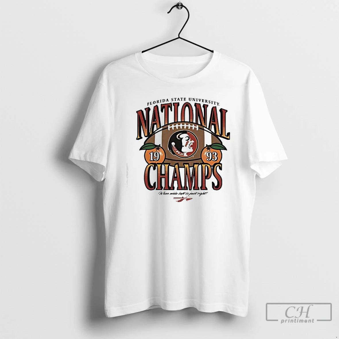 Classic Fsu Football 1993 National Champs Vintage