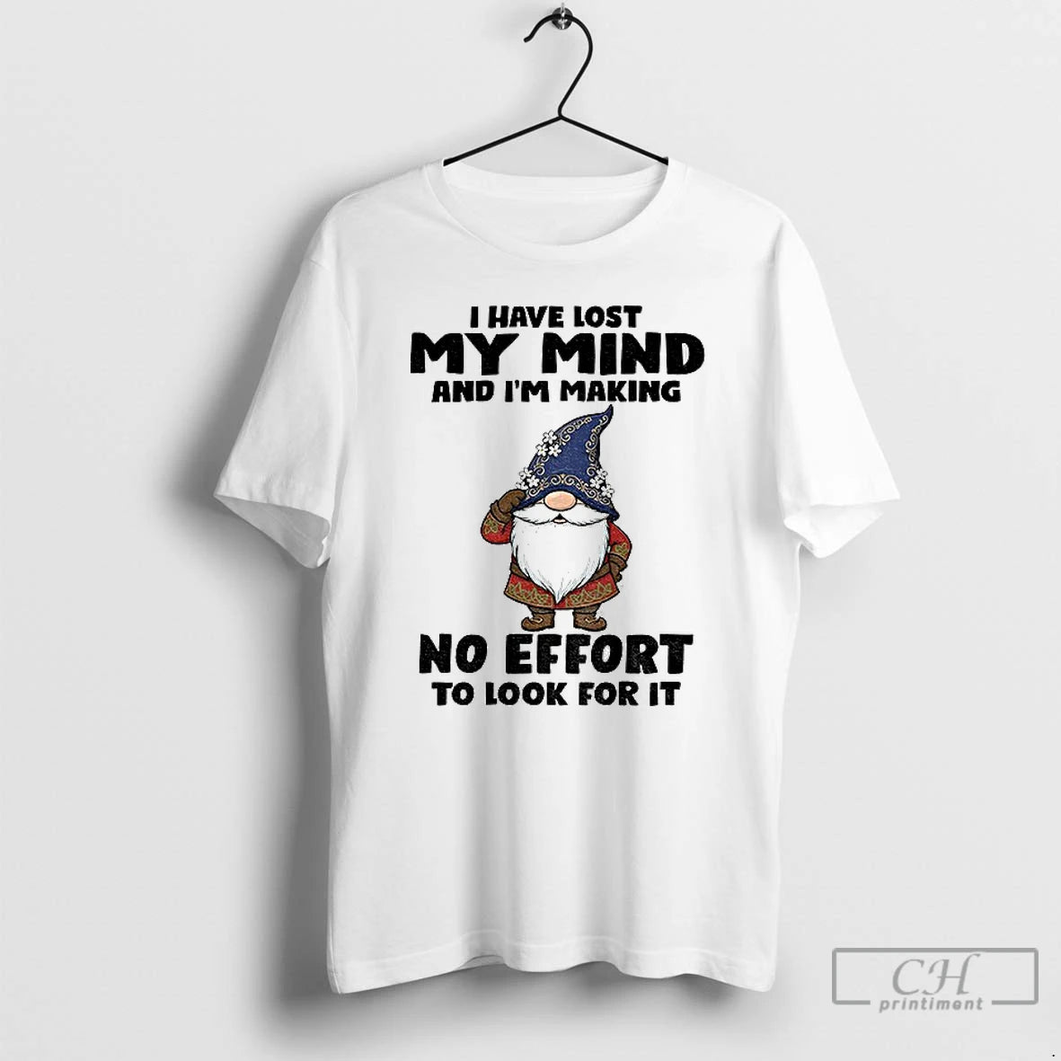 Classic Gnome I Have Lost My Mind And Im Making No Effort To Look For