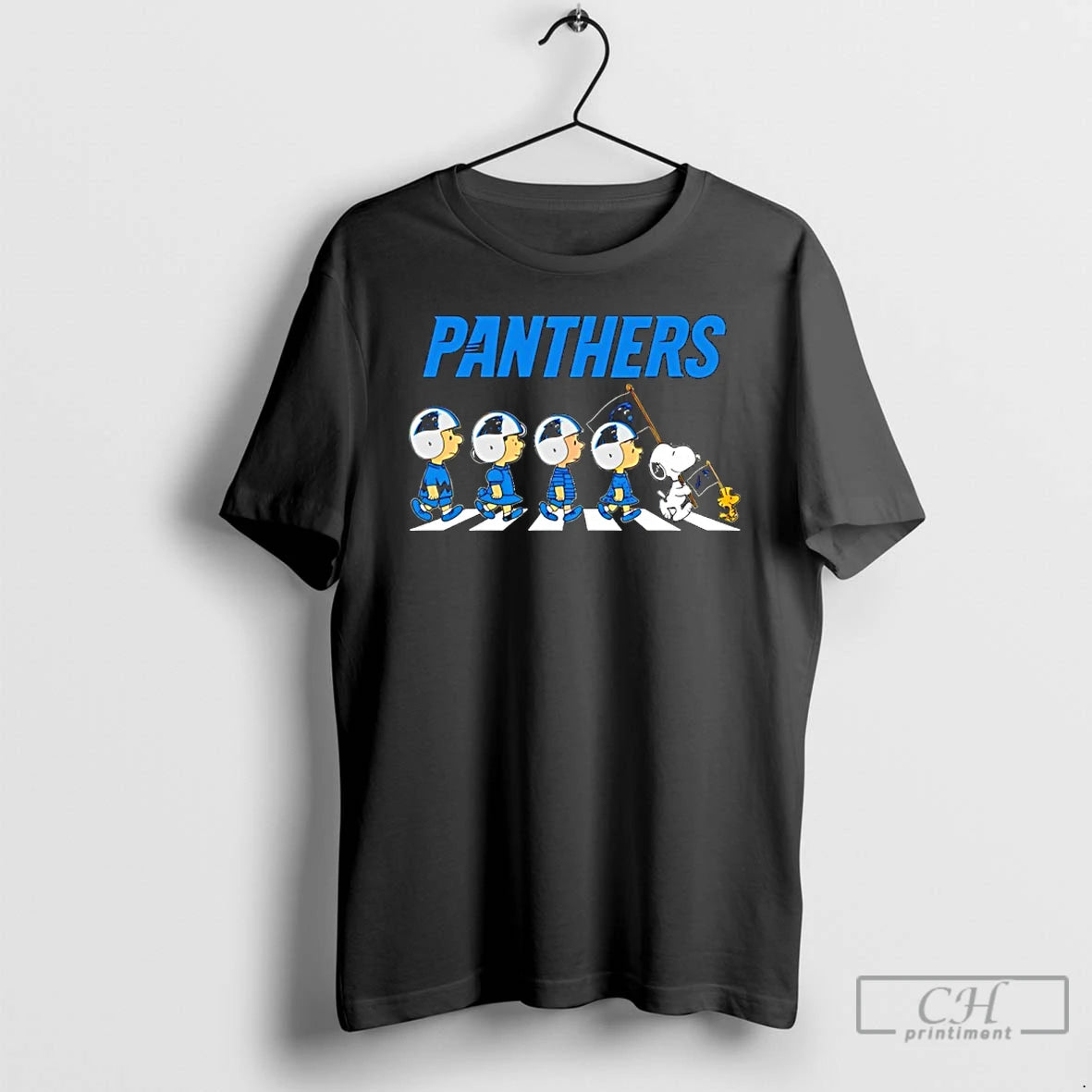 Classic Peanuts X Carolina Panthers Football Flag Walking