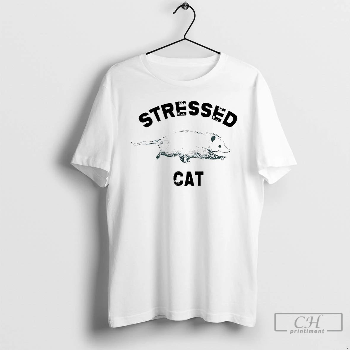 Classic Stressed Cat Opossum Meme