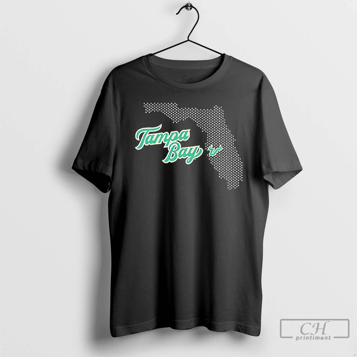Classic Tampa Bay State South Florida Mesh Map