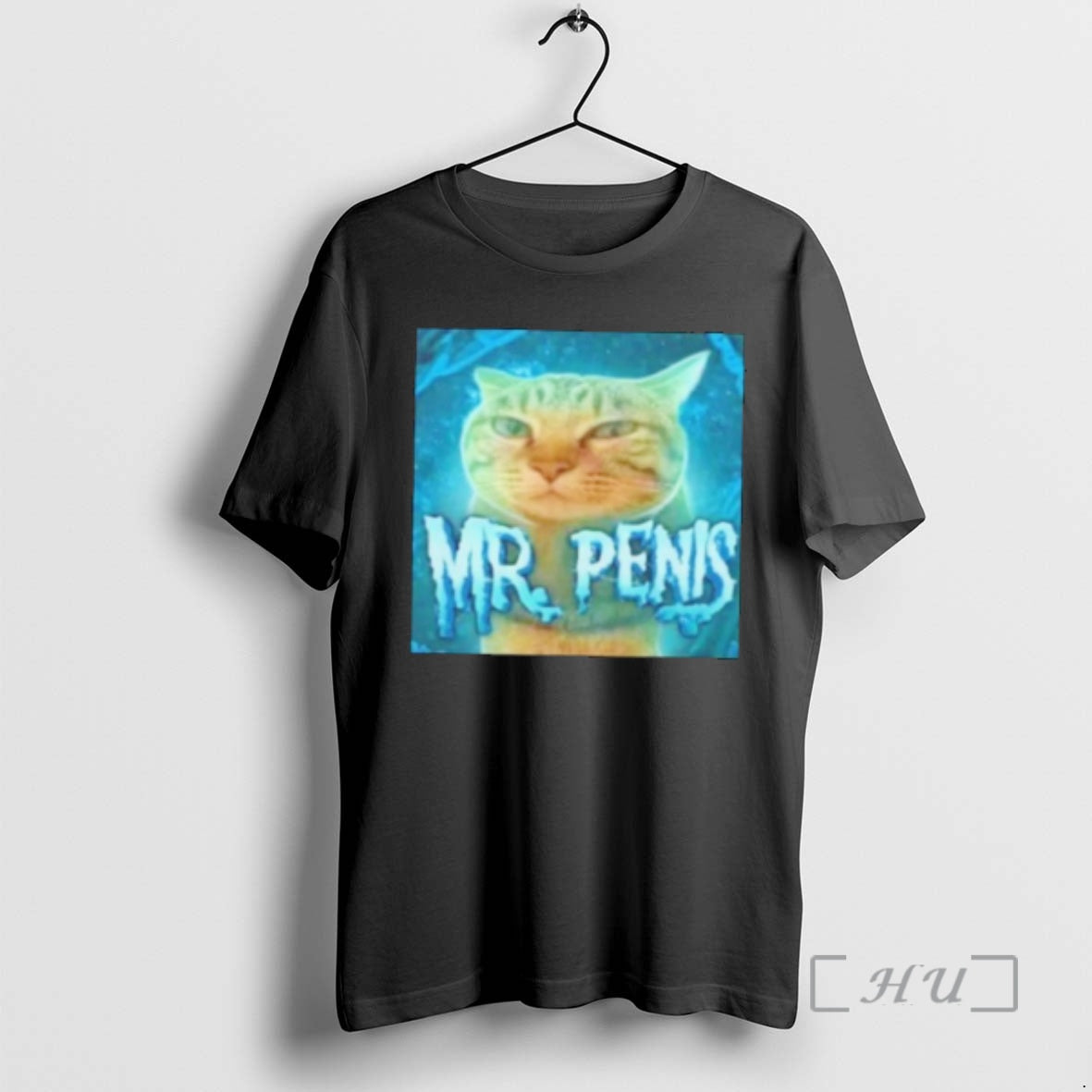 Officials Mr Penis Cat Meme
