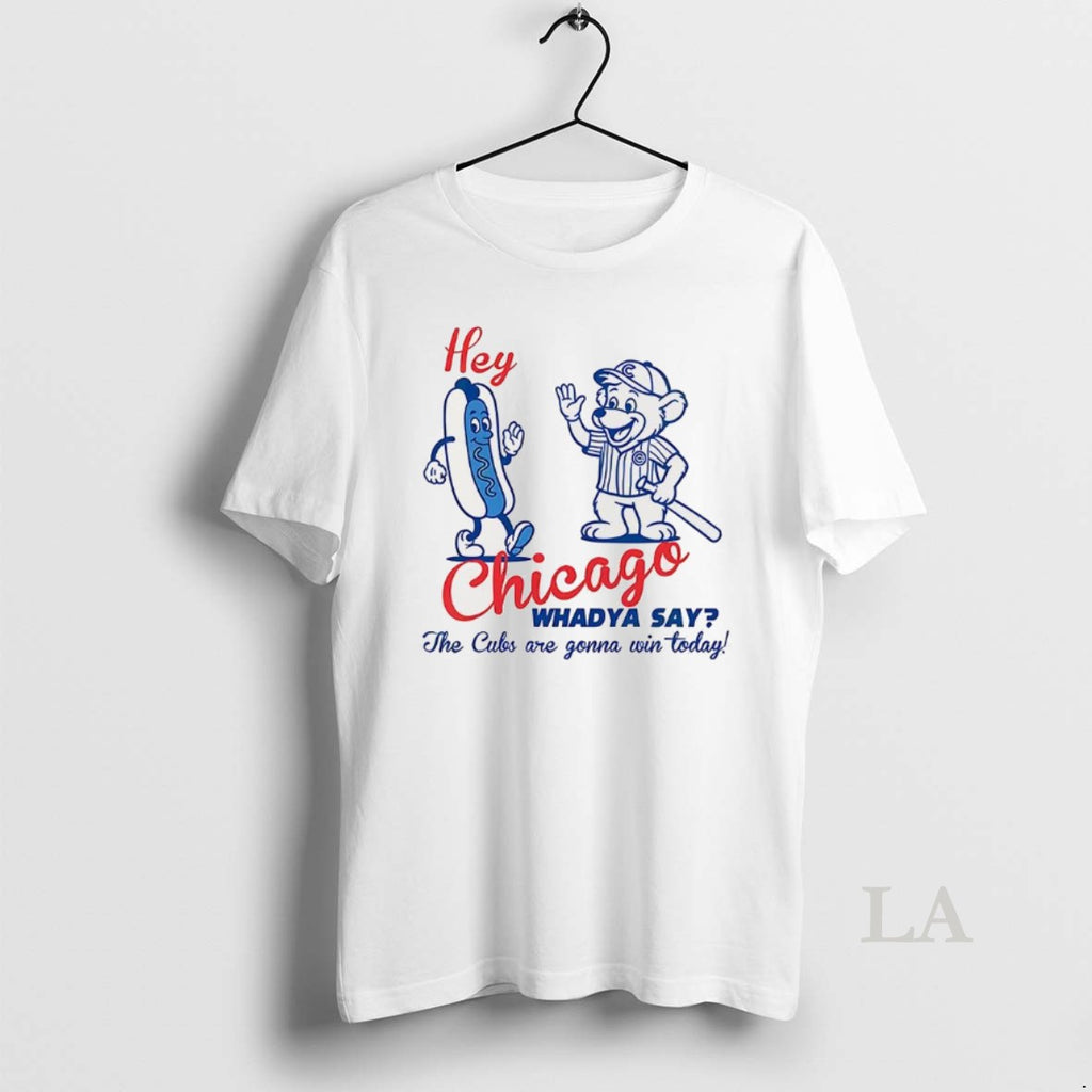 Original Chicago Cubs Baseball Hey Chicago Whaddya Say The Cubs Are Gonna Win Today Hotdog